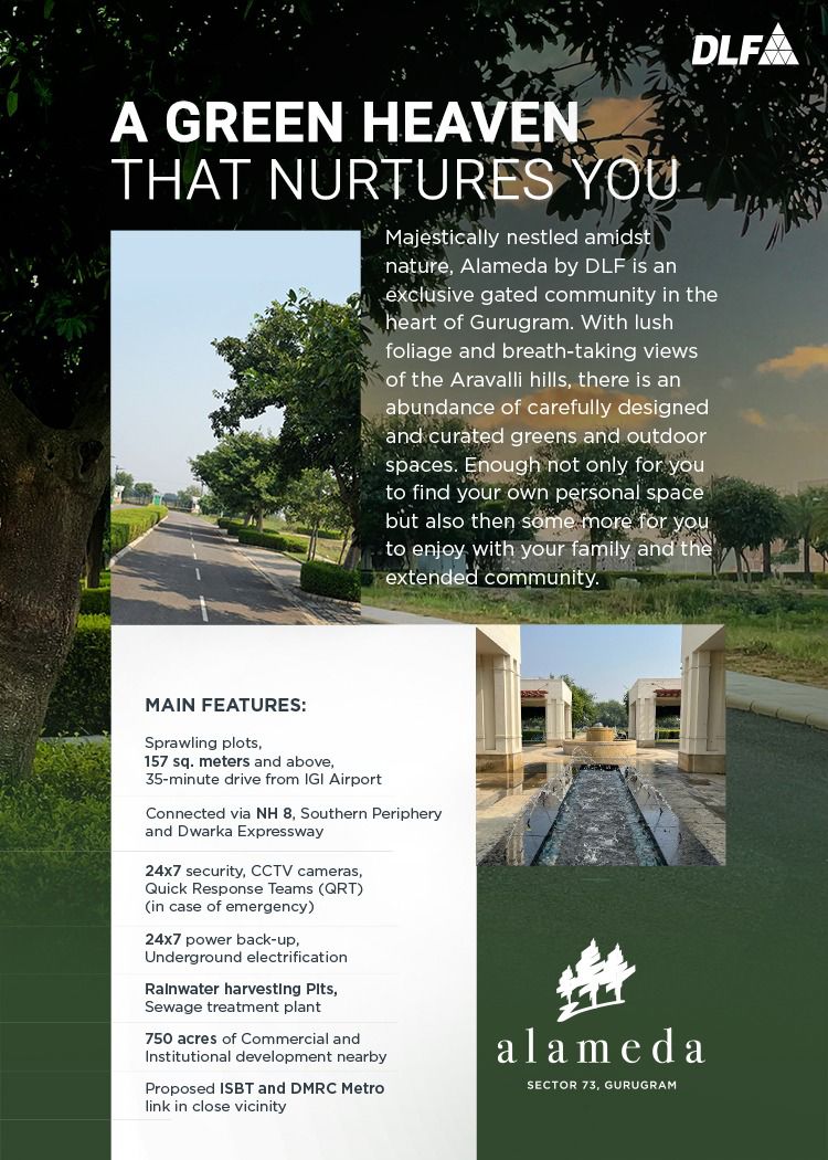 DLF ALAMEDA LUXURY FLOORS